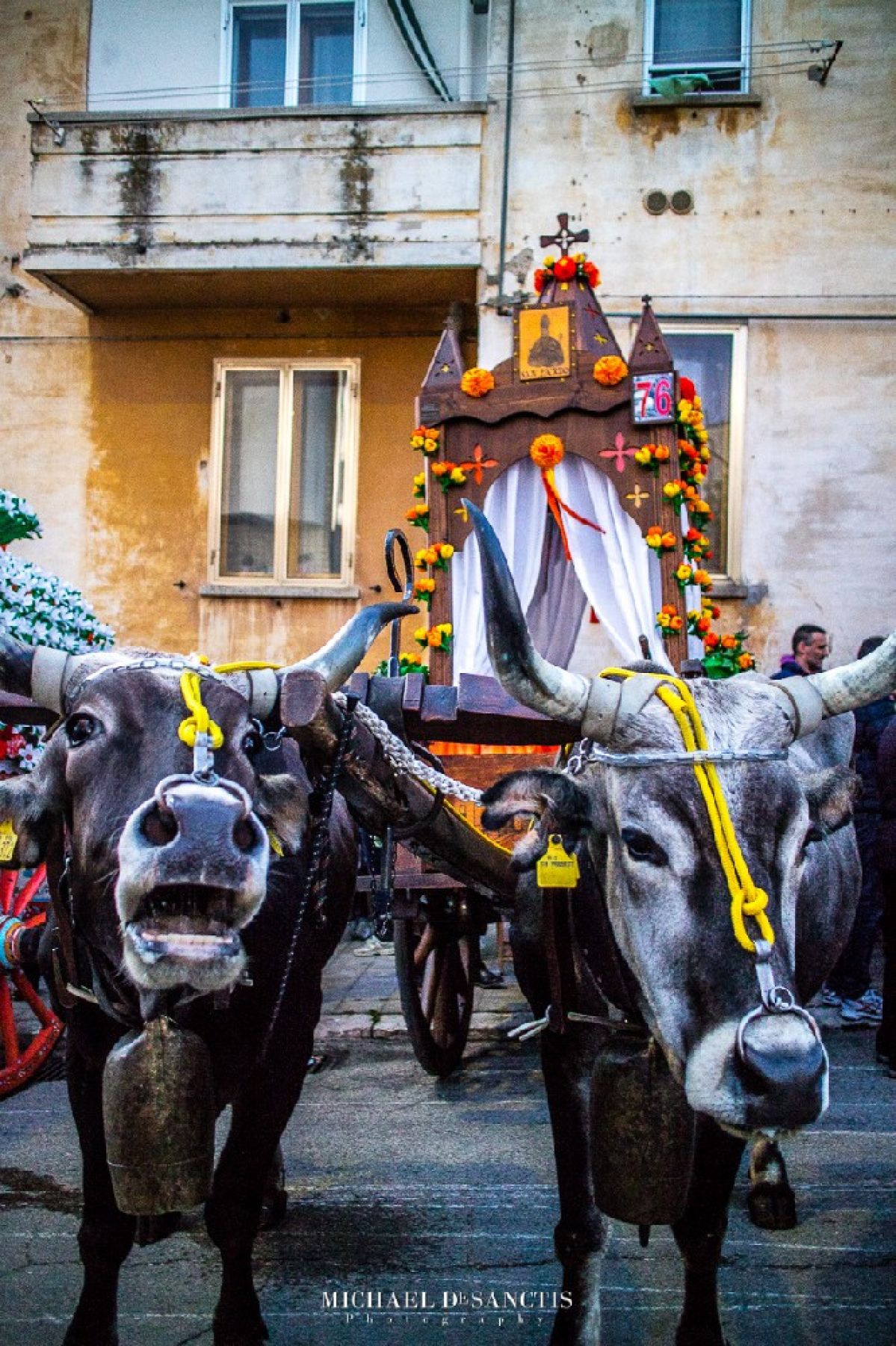 Il culto di San Pardo