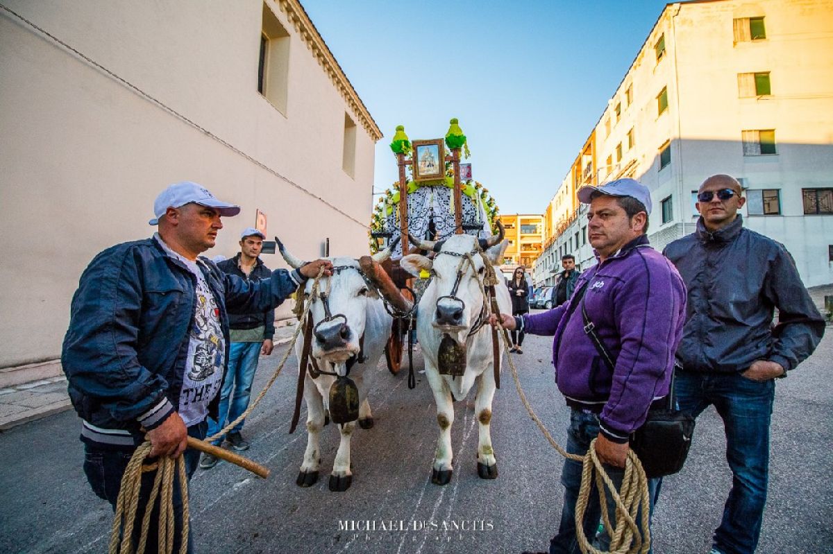 Il culto di San Pardo