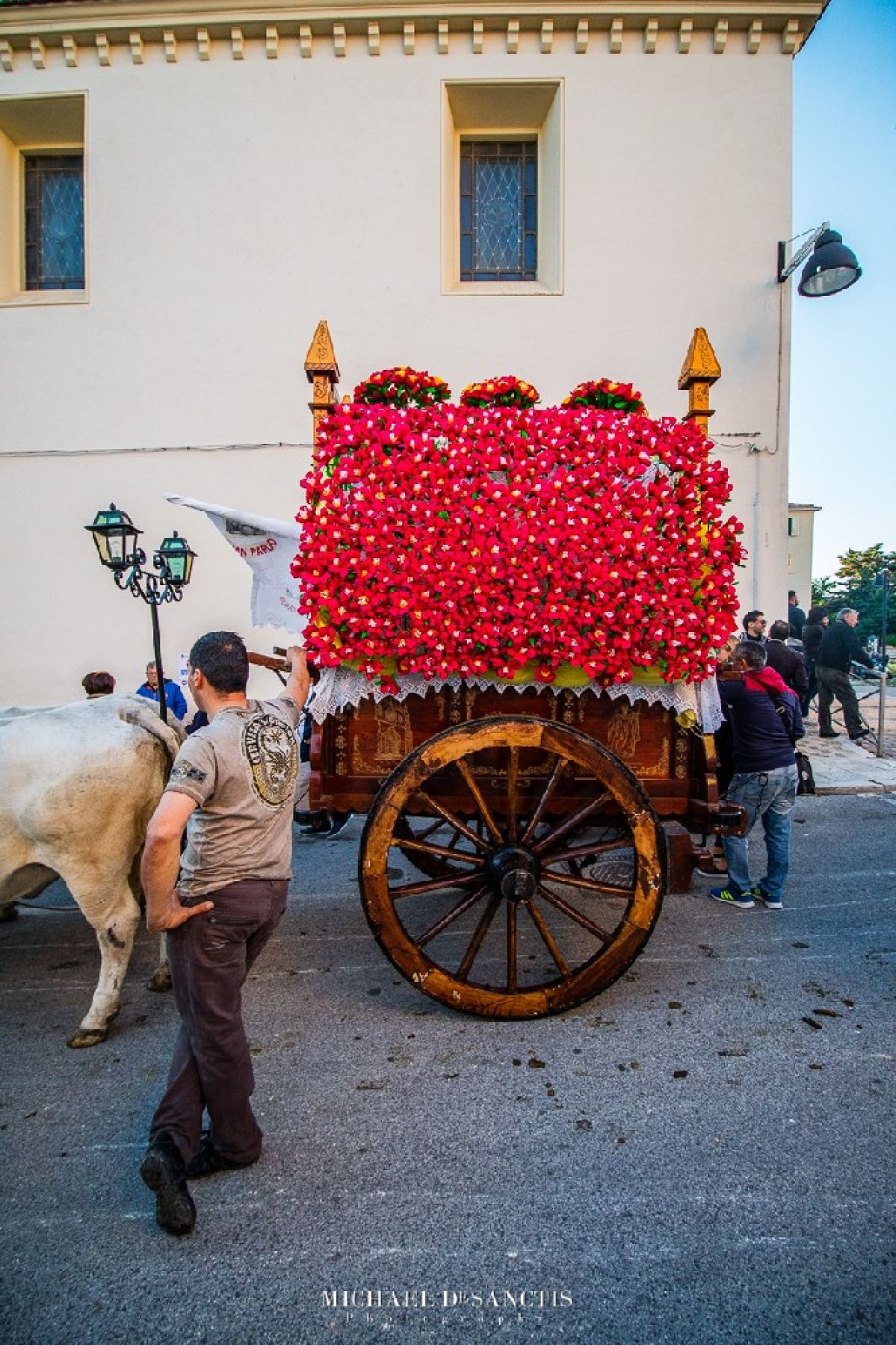 Il culto di San Pardo