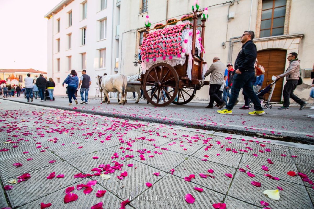 Il culto di San Pardo